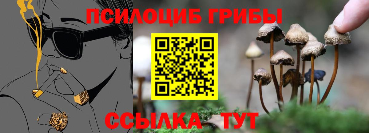 Псилоцибиновые грибы мухоморы Петропавловск-Камчатский