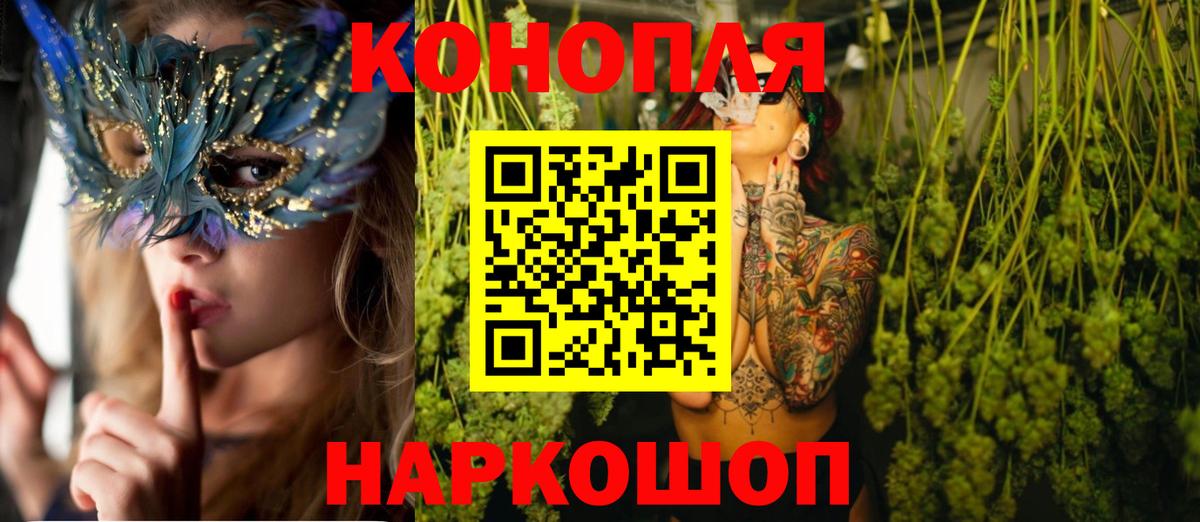 Петропавловск-Камчатский  Каннабис Ganja  Конопля Bruce Banner  Конопля тримм  Вход с VPN  Бошки Шишки VHQ 